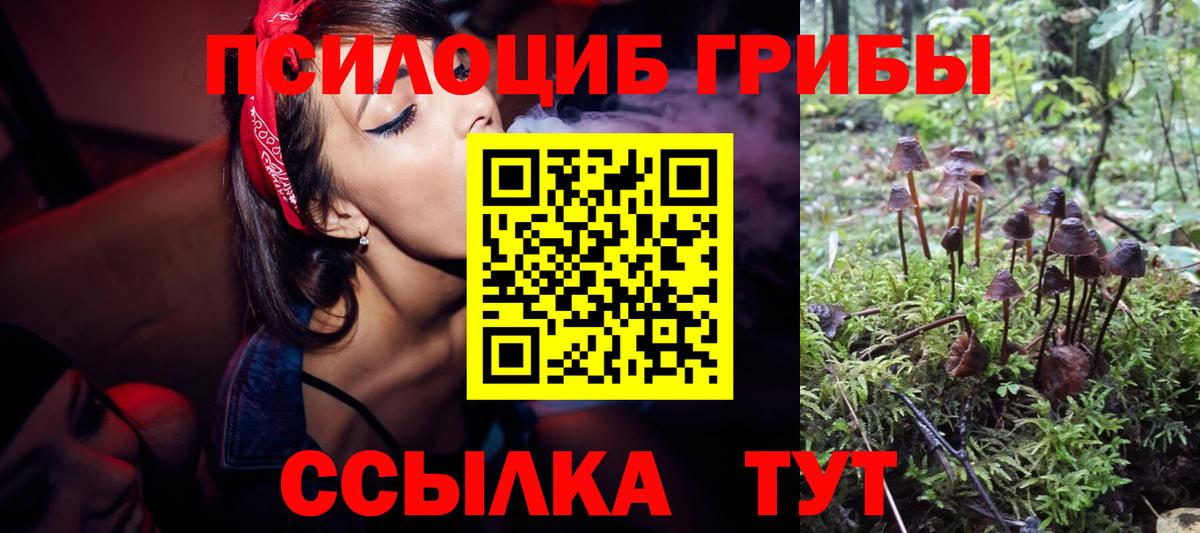 Славянск-на-Кубани  Псилоцибиновые грибы Cubensis  Псилоцибиновые грибы Psilocybe  Вход с VPN 