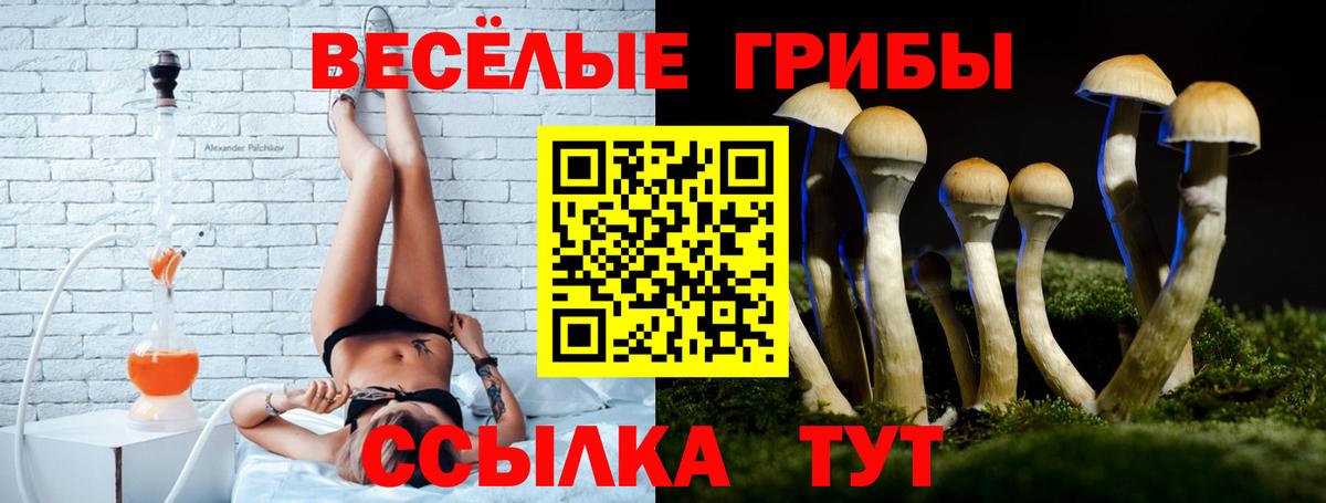 Псилоцибиновые грибы Psilocybine cubensis Славянск-на-Кубани